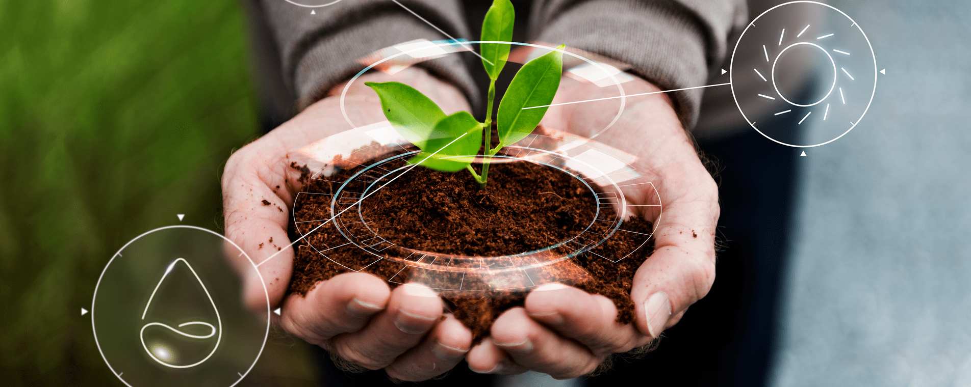 Banner Sustentabilidade Desktop-min.png